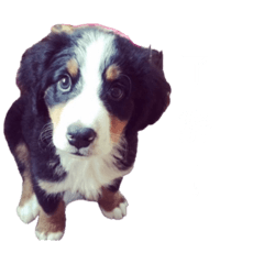 mone_20260512142328