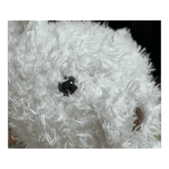 nase_20260514201234