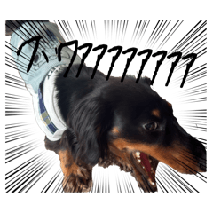 UNAGI_20260512141241