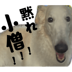 miyuuuuu_20260512142712