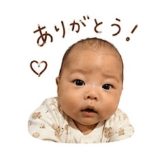 aoka_20260512142520