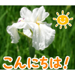 chiroru505_20260512142812