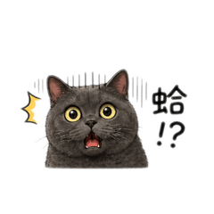 醜逼2