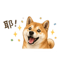 追皮