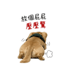 奶～油2