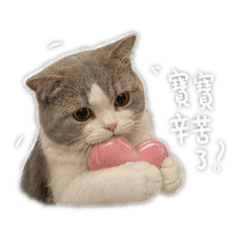 小嬌財