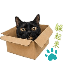 原來是小惡魔呀