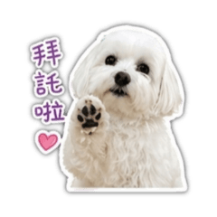 偶是布丁