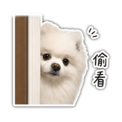 I’m 阿璃U・x・U