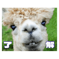 Hokotaro358_20260502214630