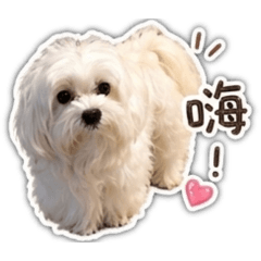 I’m 球*2