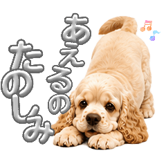 Nao_20260512133124