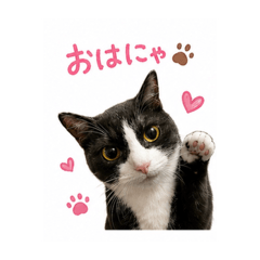 yumiauxsonic_20260512141506