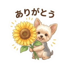 Summer Yorkie Sunflower Sticker