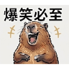 WATARU_20260512143420