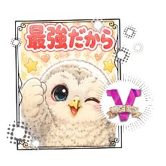 mahiro22_20260512145509