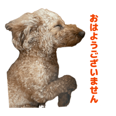 kumakuma_20260512150414