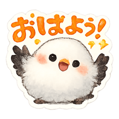 Momoji_20260512150629