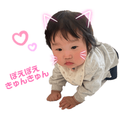 momonga_20260512145510