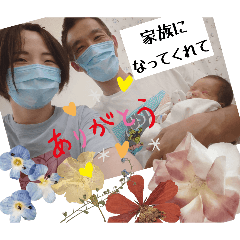 miyuki_20260512151341