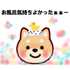 mabokko_20260512144734