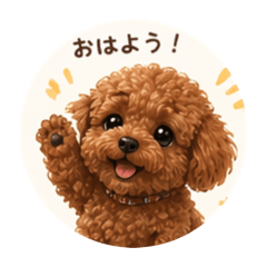 Tomato_20260512133149