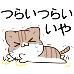 moving unmotivated cat & dog 12