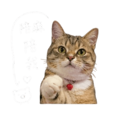 寶貝mu 特