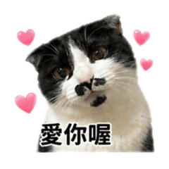 米飯小寶貝