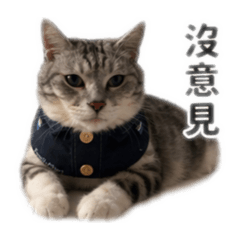 迪迪文字版1.0