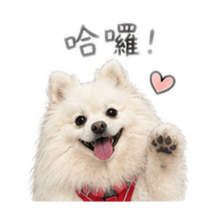 胖嘟嘟嘟嘟嘟