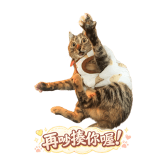 里香いか