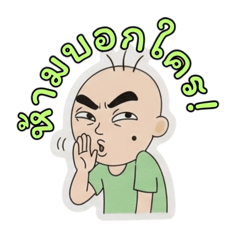 PPloy_20260428174543