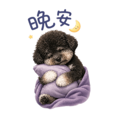 DoUn生活系列-1