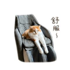 李喵皇的日常