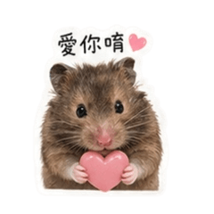 ㄍㄨㄚ包