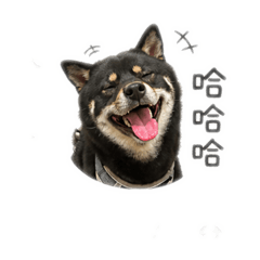 七寶菜包