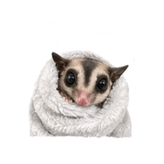 小蜜（嘟比）