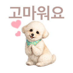 DOG STAMP ORDER_20260515171146