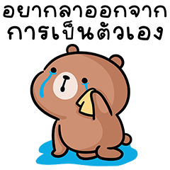 หมีลูคัส V.6