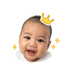 Bow_20260428175215