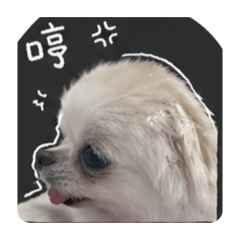 不點小可愛