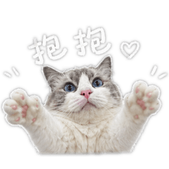 呼呼大睡咪