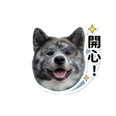 小光的表情