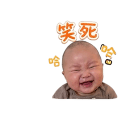 崴崴表情包2