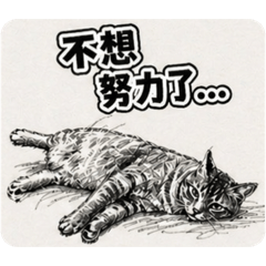 《厭世寫實貓》