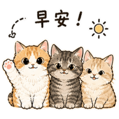 貓的日常生活 -toya