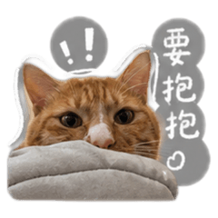 蛋黃黃蛋