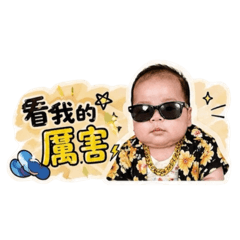 勸世貫子-迷人的貫