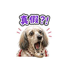 多多滴日常
